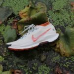 Nike Pegasus Trail 5