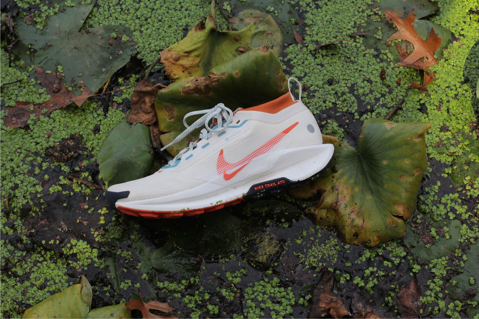 Nike Pegasus Trail 5 Review: The Best All-Terrain Running Shoes